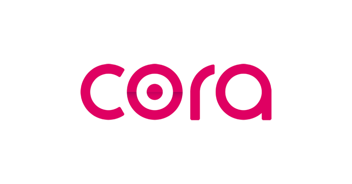 Screenshot of Cora Assistant PPM Software