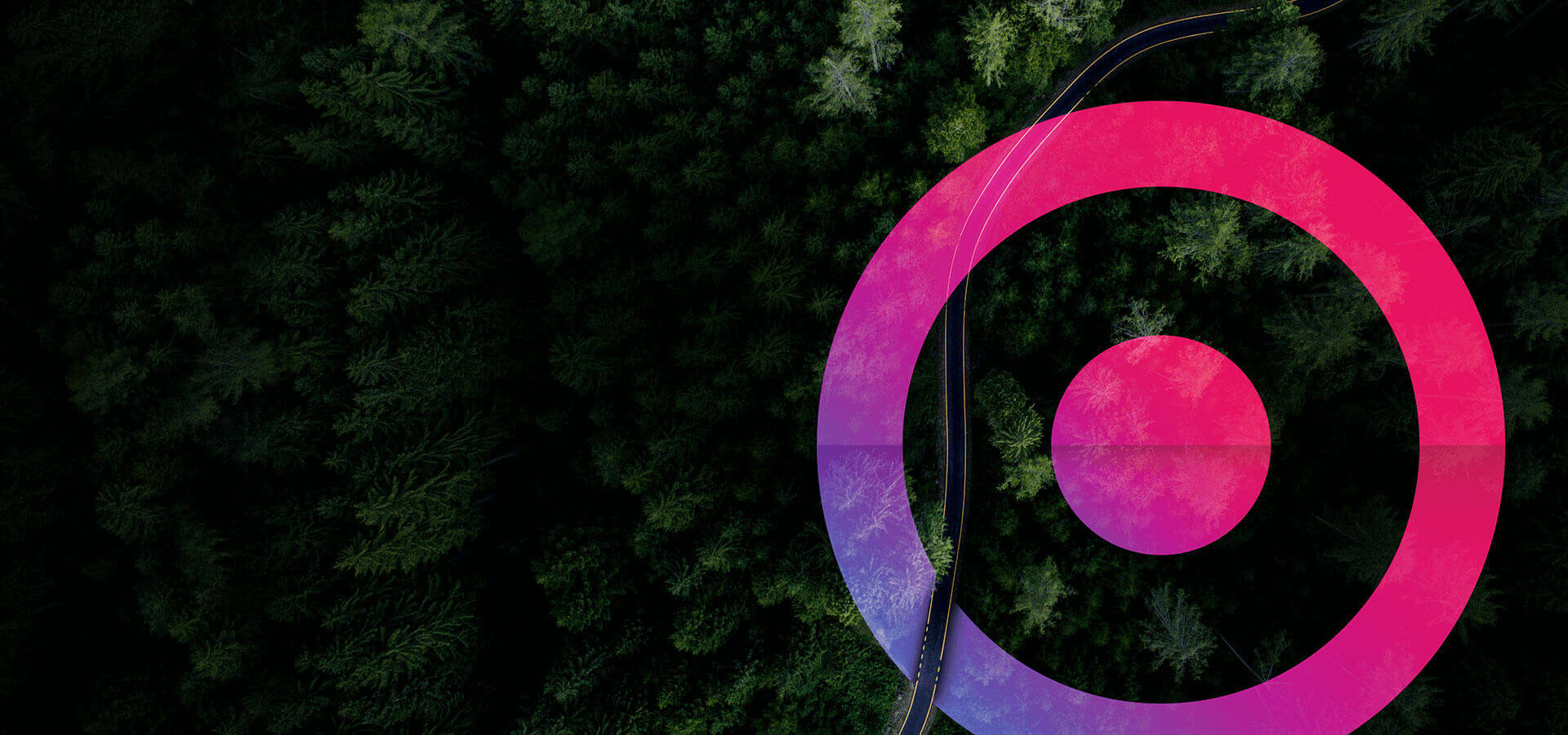 Dark forest background image with pink and purple gradient Cora lens logo in the forefront.