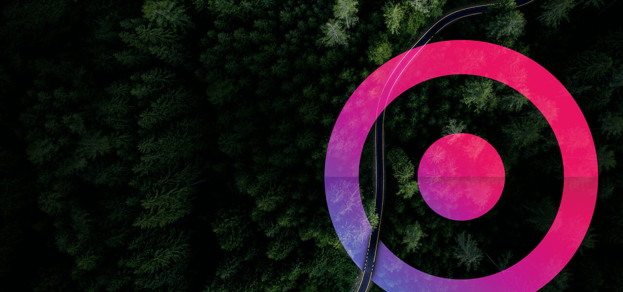 An image of a forest with a road going through the centre and a pink and blue cora lens logo on the right of the graphic.