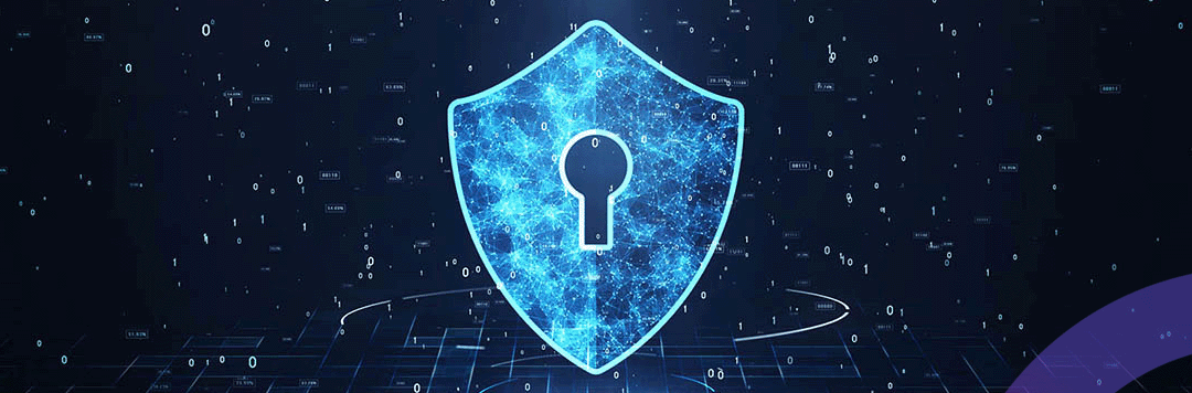 Make Sure Your PPM Solution Is a No Code Low Code Platform